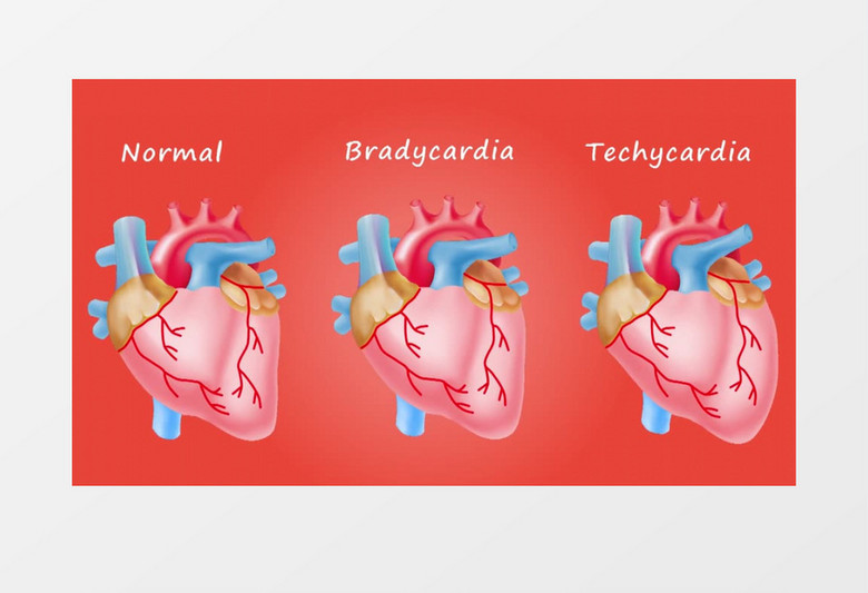 3D动画模拟抽象医疗素材人体心脏跳动手术视频素材