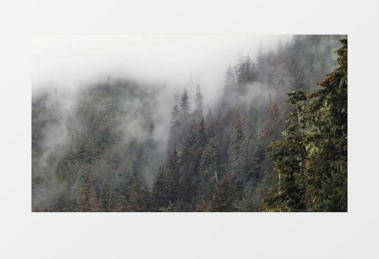 山川森林薄雾实拍视频素材