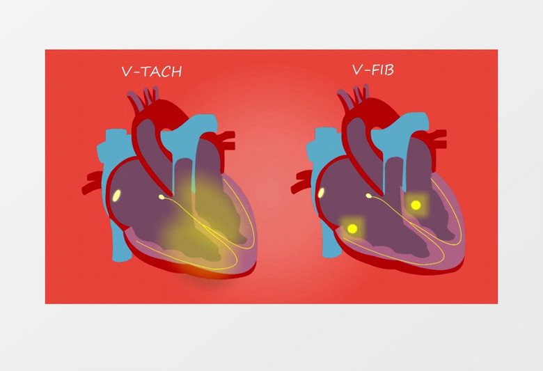 人类健康心脏循环结构动画视频素材