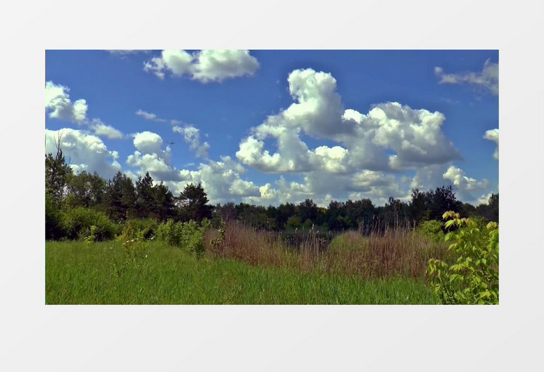直升机穿过草丛嗡鸣声实拍视频素材