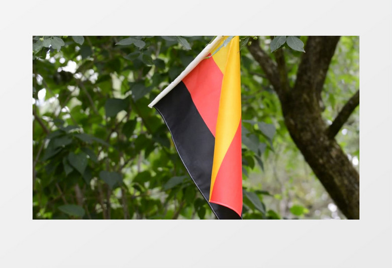悬挂在树上的德国国旗近距离高清实拍视频素材