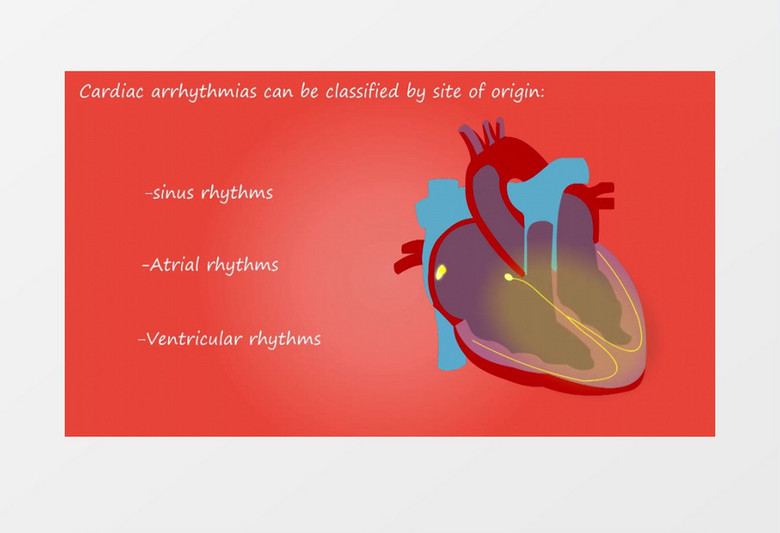医学心脏结构心脏作用原理视频素材