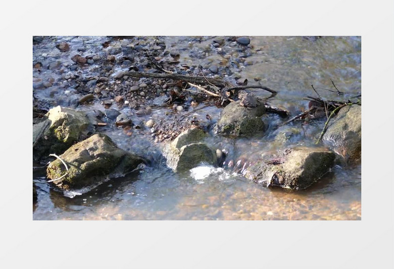 环境之小溪流水MP4实拍视频素材