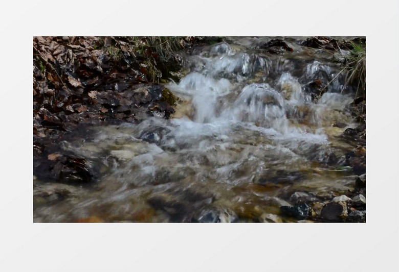 潺潺流动的小溪实拍视频素材