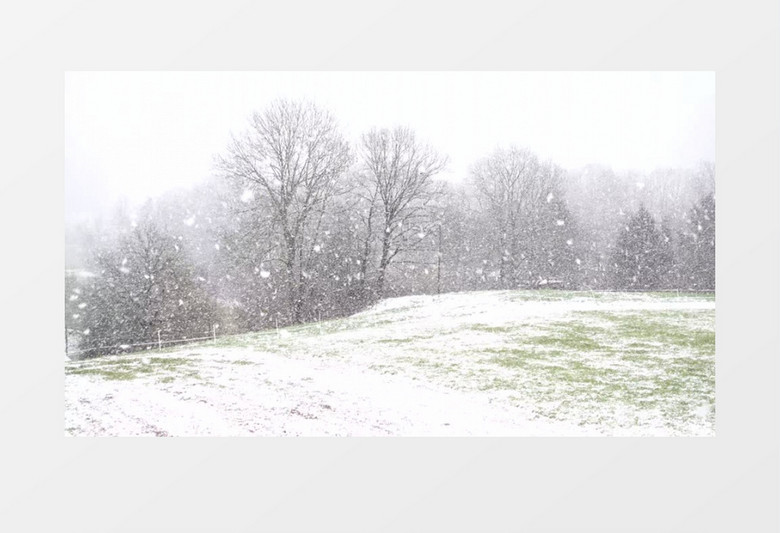 高清实拍山上漫天的大雪以及银装素裹的大地树木实拍视频素材
