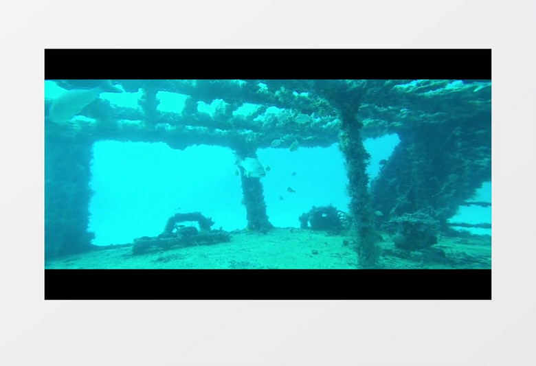 水下拍摄蓝色海底一群鱼在沉船处游动实拍视频素材
