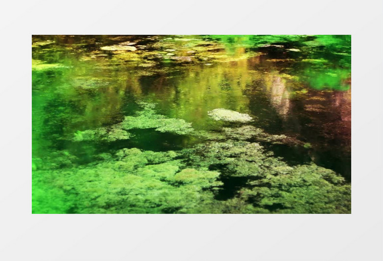 特效手法制作湖面青青的水藻由绿变灰的过程