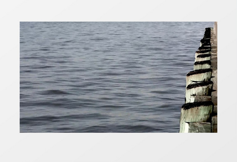 高清实拍微波粼粼的海水实拍视频素材