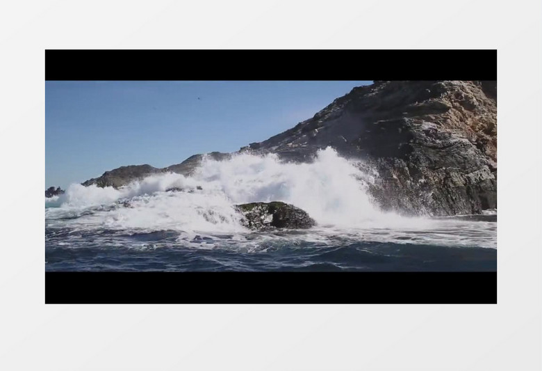 高清实拍海边的惊涛骇浪及一群可爱的水生动物实拍视频素材