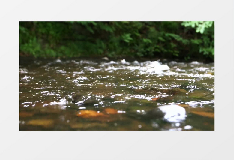 高清近距离拍摄清澈河流小溪实拍视频素材