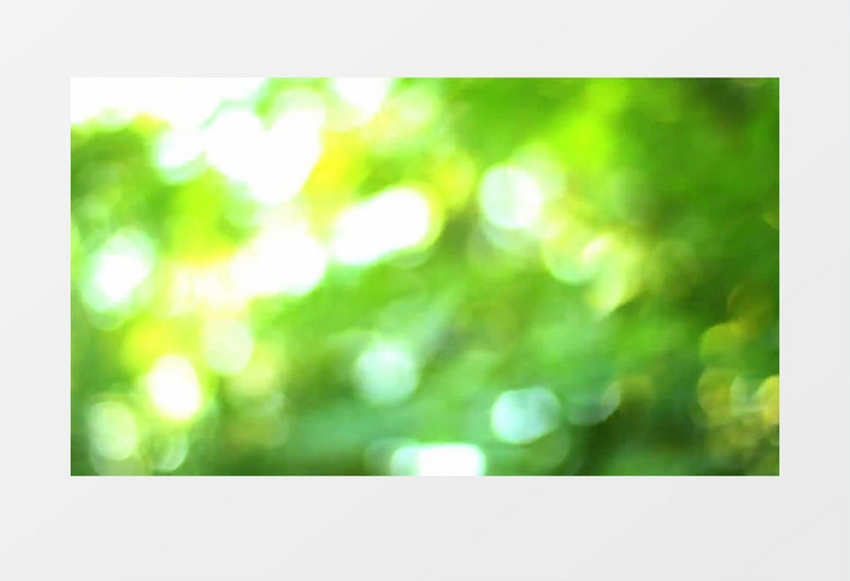 特殊手法拍摄阳光洒在生机勃勃的绿叶上实拍视频素材