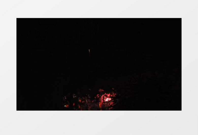 夜空中燃放的烟花唯美动人大朵的烟花绽放实拍视频素材