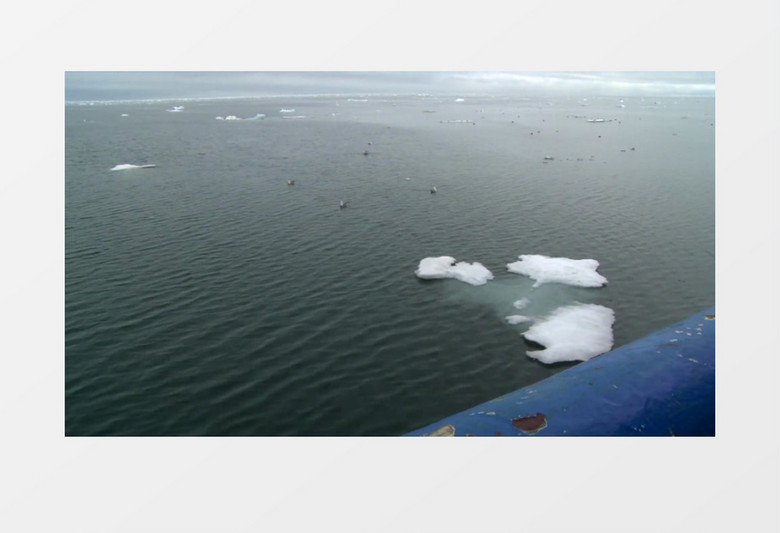 高清实拍海洋中漂浮着冰块还有一些小鸟实拍视频素材