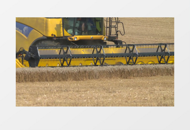 高清实拍收割机在高效快速的收割农作物实拍视频素材mp4