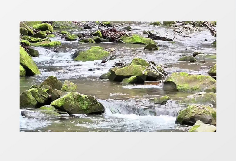 森林潺潺的流水实拍视频素材