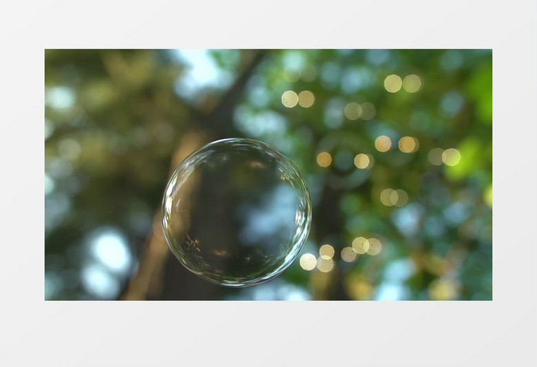 仰拍光点斑驳的树下一颗落下的泡泡逐渐清晰实拍视频素材
