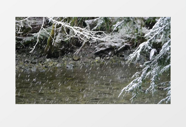 冬天纯白的雪景实拍视频