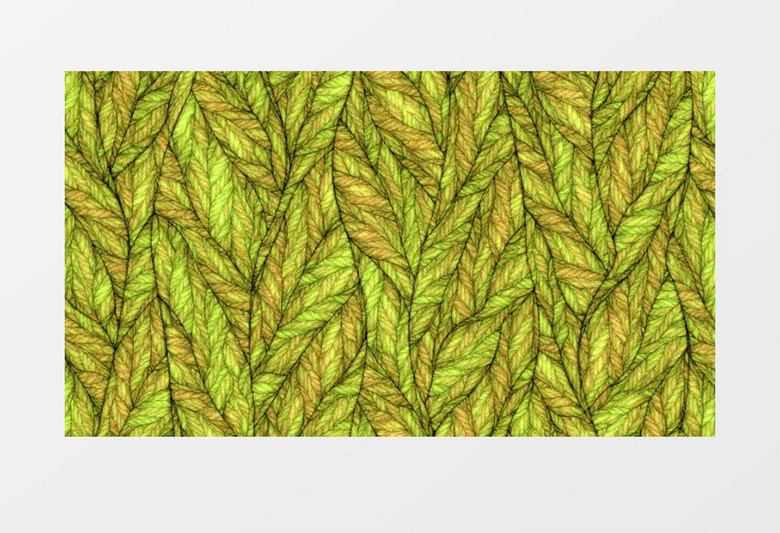 手绘抽象彩色树叶肌理视频素材