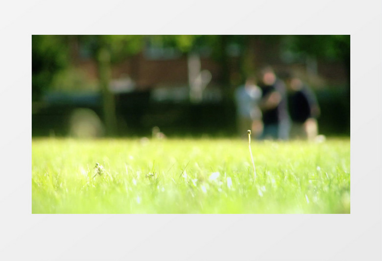 公园男子玩飞盘模糊散景视频素材