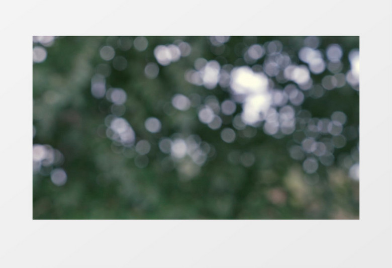 树叶遮挡了点点阳光的美好景象实拍视频素材