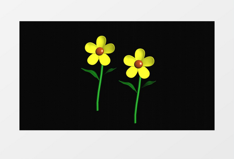 黑色背景两株黄色雏菊微微晃动模型动画效果模拟视频素材