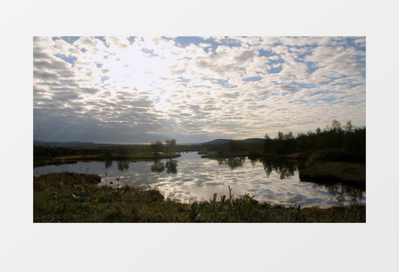 夏天湖泊的静谧实拍视频MP4