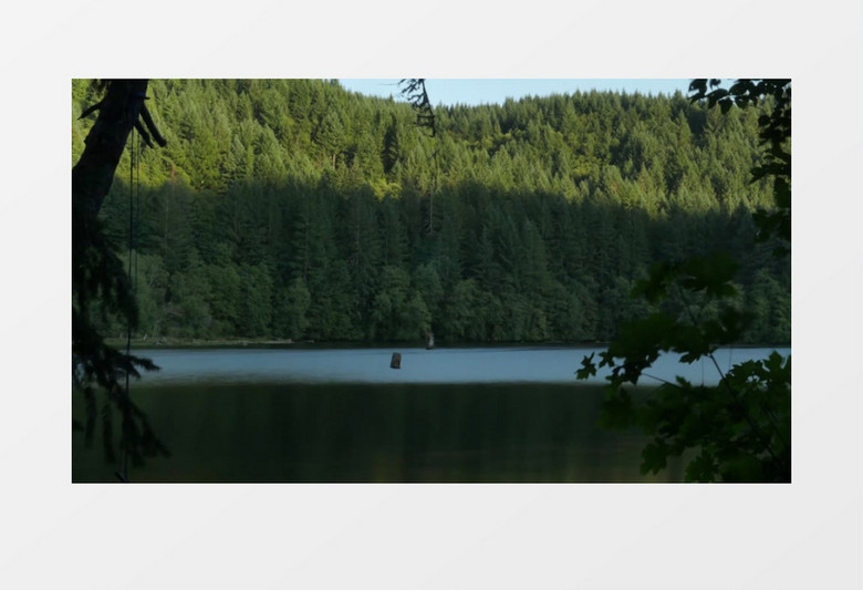 黄昏日落户外荒野森林湖边实拍视频素材