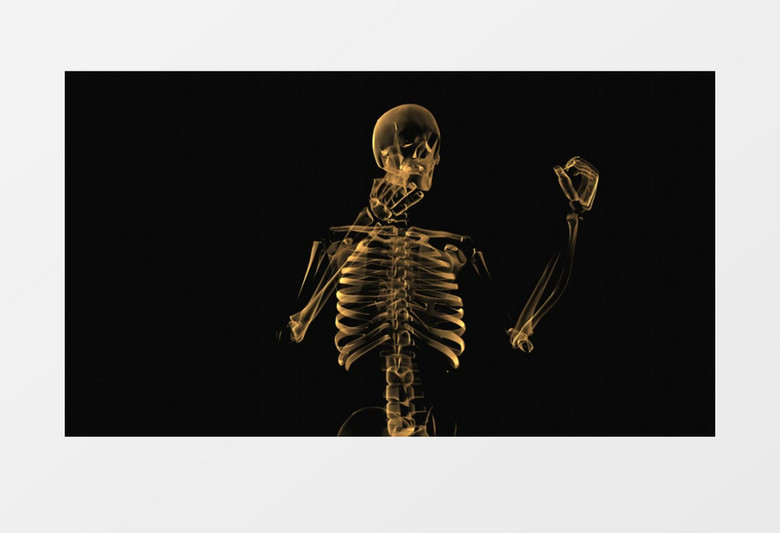 人体骨架构造模型视频素材