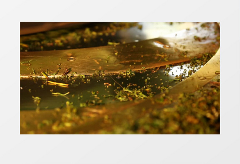 红茶工厂实拍视频素材