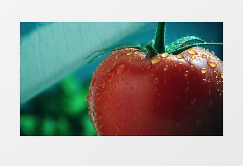 切西红柿削红萝卜实拍视频素材