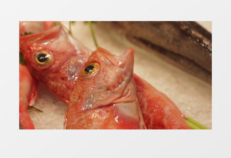 生鲜摊各种鱼实拍视频素材