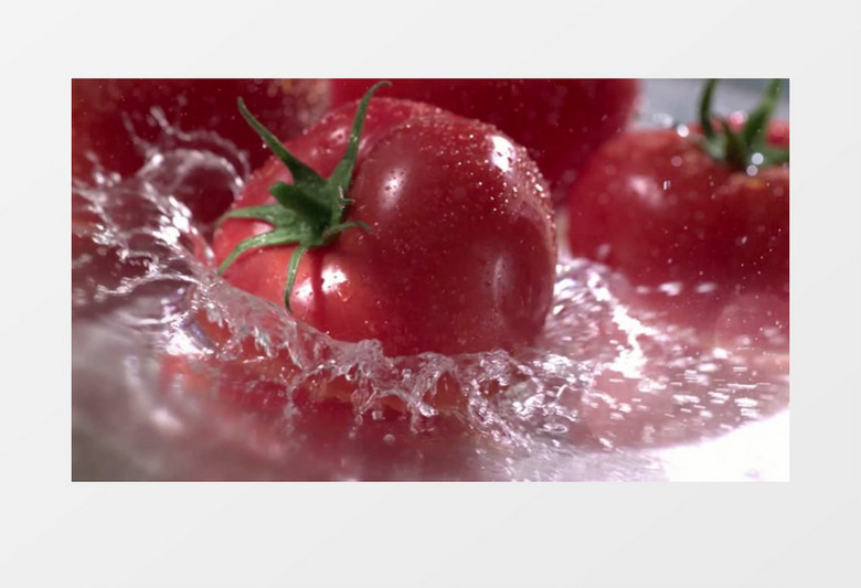 新鲜西红柿蔬菜实拍视频素材