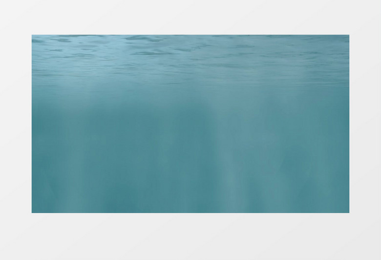 神奇的水底世界视频素材