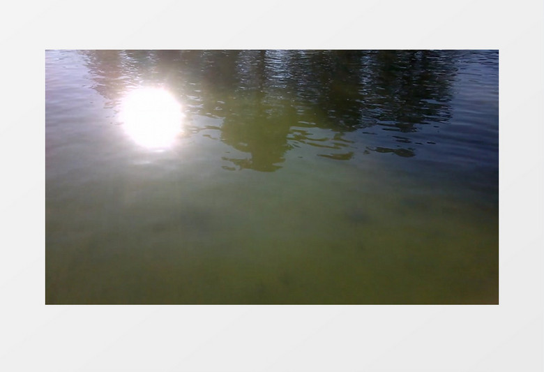 日光照射在湖水表面实拍视频MP4