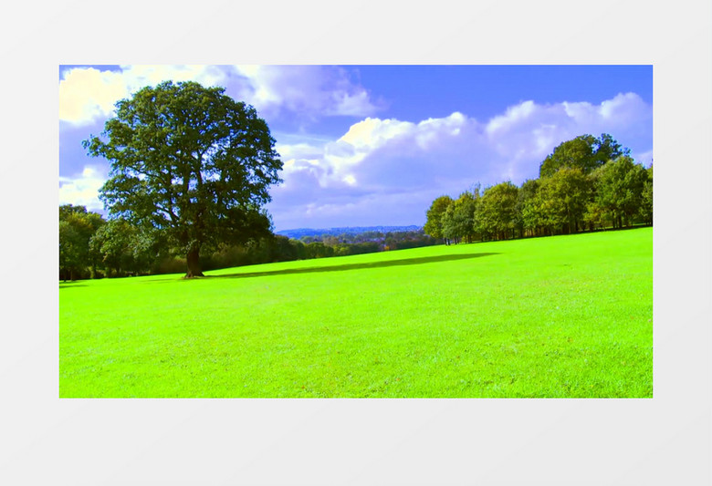 动画模拟现实草地公园动图MP4视频素材