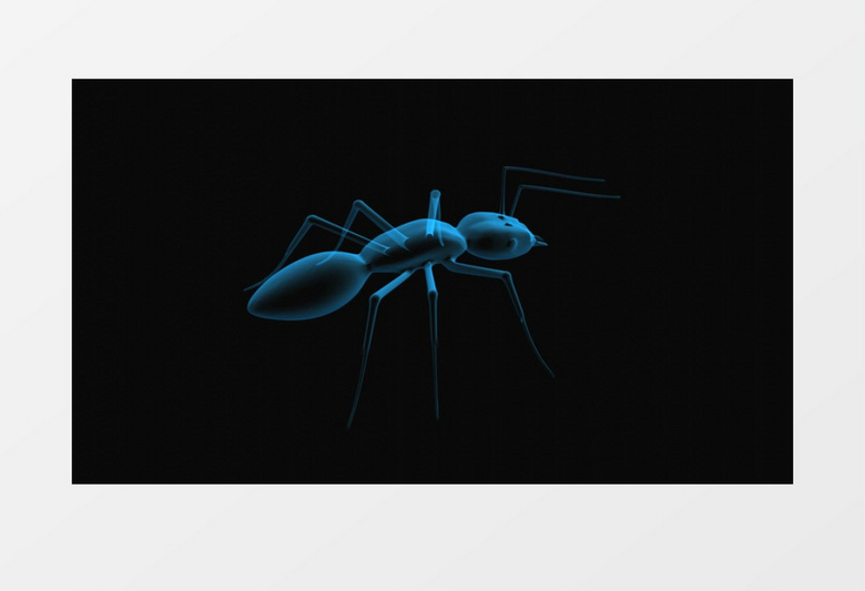 3D效果蚂蚁立体蓝色模型生物科技视频素材