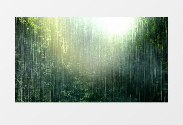 清新森林降雨唯美风景背景视频