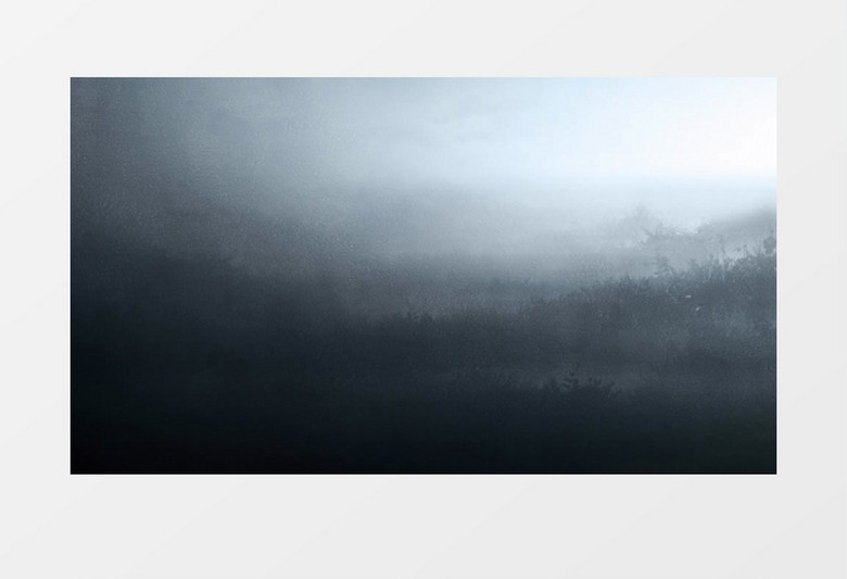 黑色朦胧雾化森林景深背景视频