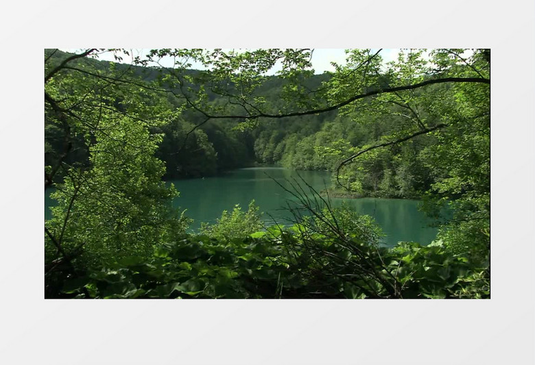 山间森林中的湖泊高清实拍视频素材