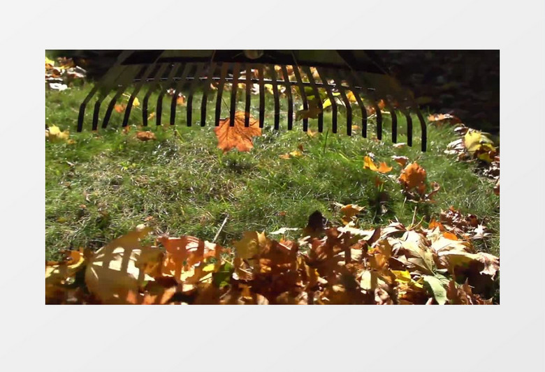 特写户外庭院机器扫落叶实拍视频素材