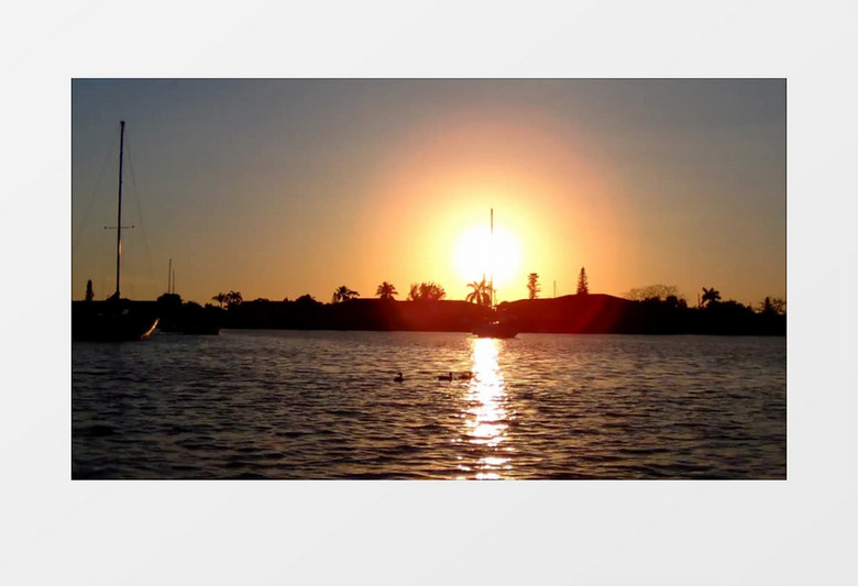 美国佛罗里达州傍晚剪影海洋沙滩棕榈树实拍视频素材