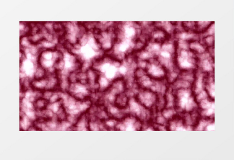 动画抽象模拟显微镜下的病毒血红蛋白细胞视频素材