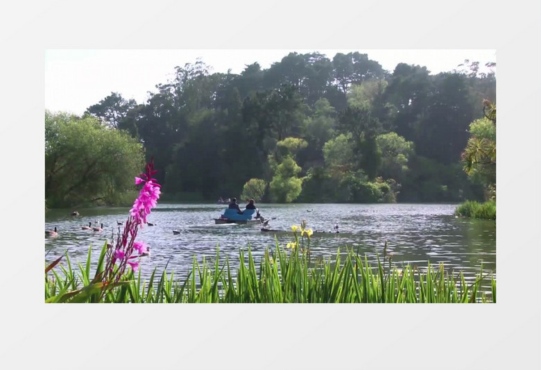 夏天湖面度假划船实拍视频素材