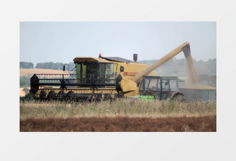 收割麦子农业实拍视频素材