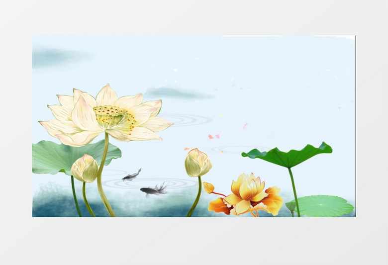 中国风水旺游鱼国画荷花视频素材