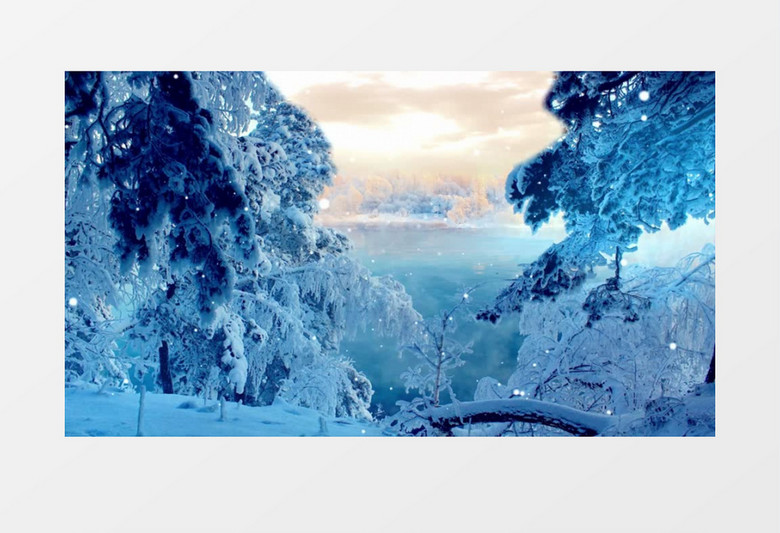 唯美浪漫雪景雪花飘落雪松婚礼背景视频素材