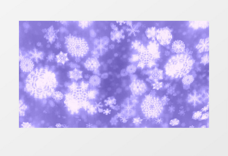白大紫雪花背景视频素材