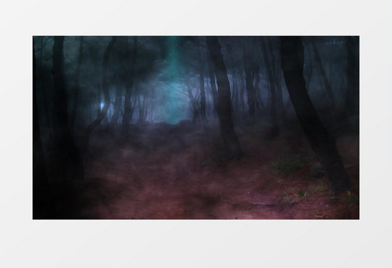 梦幻森林神秘森林背景视频
