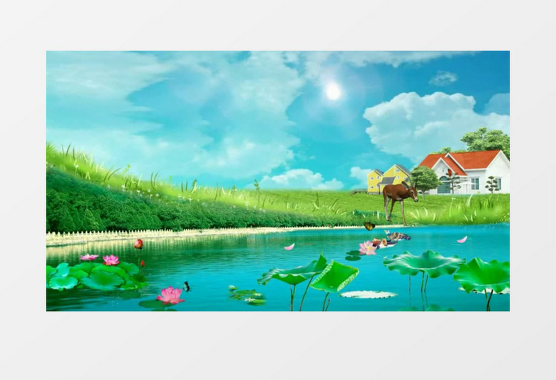 荷花池塘房子背景视频