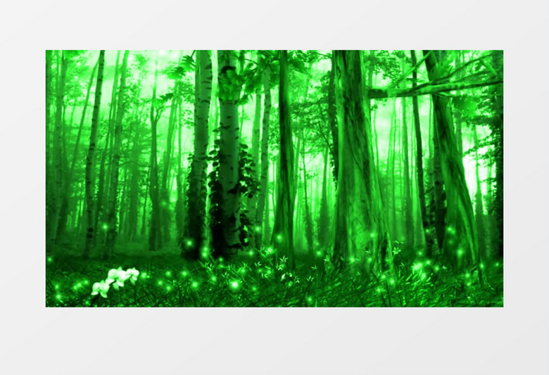 神奇静谧的绿色森林视频素材